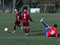 Hempnall v Shrublands 28 3 26 31