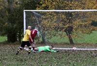 Scole Res v Hempnall 2 11 2024 22