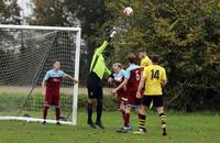 Scole Res v Hempnall 2 11 2024 26