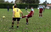 Scole Res v Hempnall 2 11 2024 36