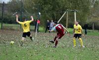 Scole Res v Hempnall 2 11 2024 41