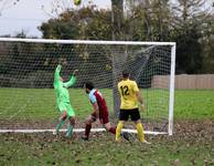 Scole Res v Hempnall 2 11 2024 43